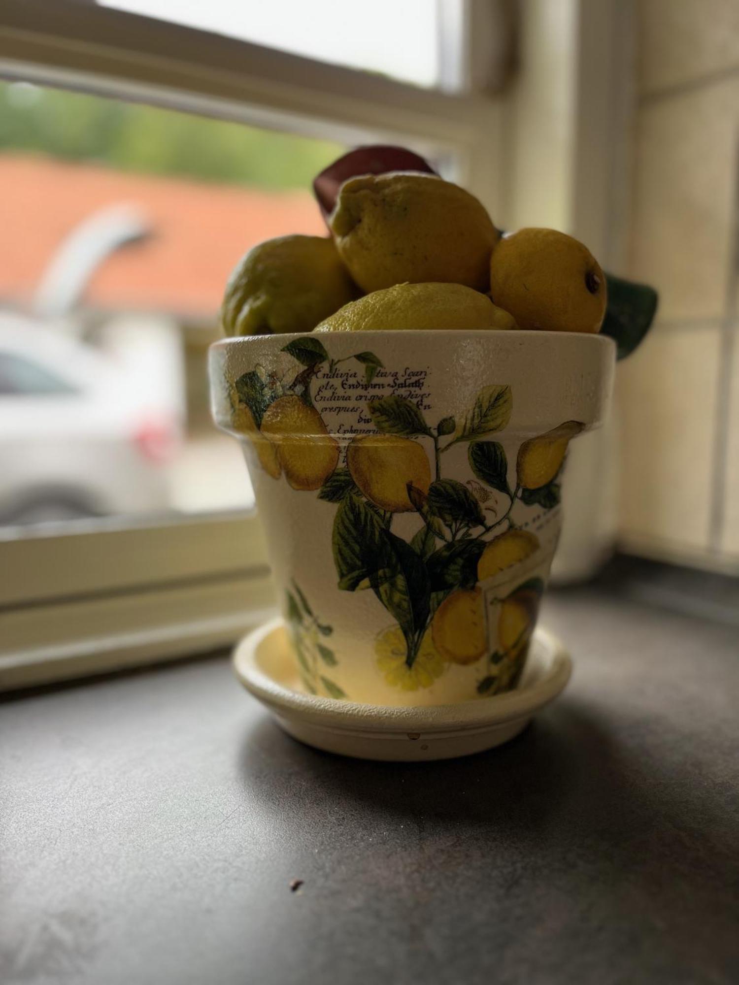 Fuglsang Bed & Breakfast 约灵 外观 照片